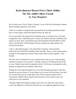 KeSa Quarter Horses Prove Their Ability On The AQHA Show Circuit
