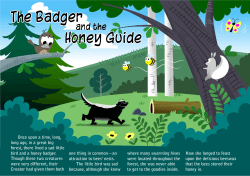 The Badger Honey Guide