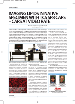 imaging lipids in native specimen with tcs sp8 cars â cars at video rate