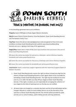 Terms & Conditions for Boarding your Dog(s)