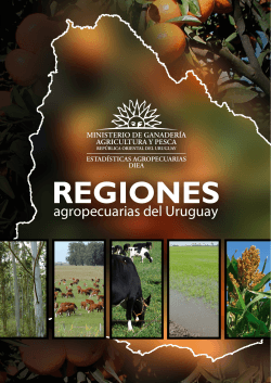 informe - Presidencia de la RepÃºblica Oriental del Uruguay
