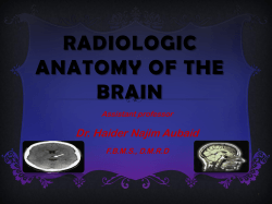 2-Brain Rad Anantomy
