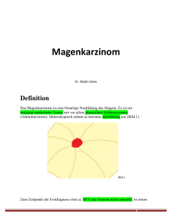 PDF im groÃen Format KLICK HIER => Magenkarzinom