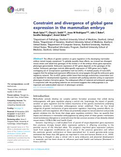 Constraint and divergence of global gene expression in