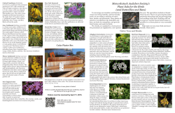 Menunkatuck Audubon Society`s Plant Sale for the Birds (and