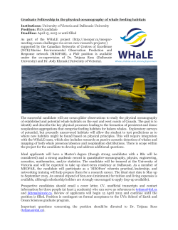 Graduate Fellowship in the physical oceanography of whale feeding