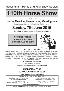 110th Horse Show - Messingham Show
