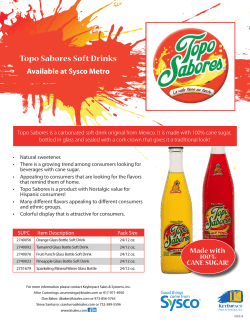 Topo Sabores Soft Drinks
