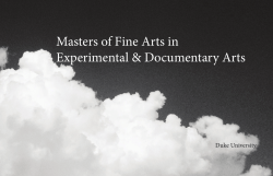 Masters of Fine Arts in Experimental