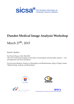 Dundee MIA Workshop 2015 Book of Abstracts