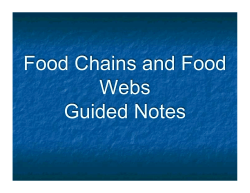 Food Chains and Food Webs Guided Notes