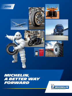 Michelin Group Fact Sheet