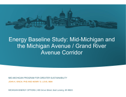 full report - Michigan Energy Options