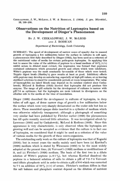 Observations on the Nutrition of Leptospira based on the