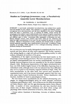 Studies on Cytophaga fermentans, n.sp., a Facultatively