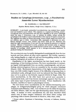 Studies on Cytophaga fermentans, n.sp., a Facultatively