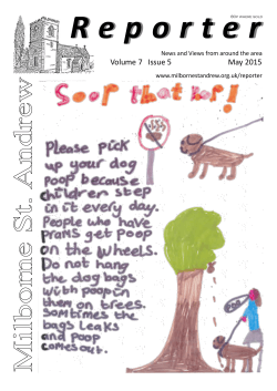 2015-05 - Milborne St Andrew Village Website