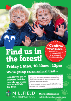 Find us in the forest!