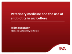 Veterinary medicine and the use of antibiotics in - mims