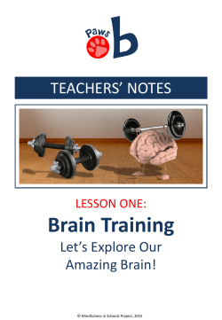 Brain Training - Mindfulness In Schools