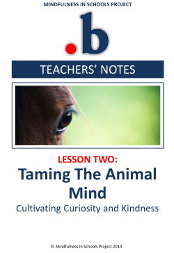 Lesson 2 â Taming the Animal Mind