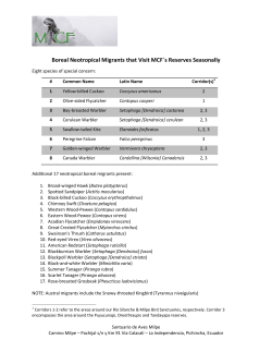 MCF Migratory Species - Mindo Cloudforest Foundation