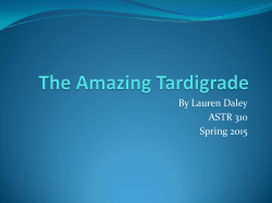 Survivor of the Fittest: The Tardigrade