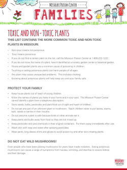 TOXIC AND NON-TOXIC PLANTS