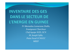 Inventaire des GES dans le secteur de l`energie en Guinee