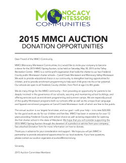 2015 MMCI Auction Donation pg2