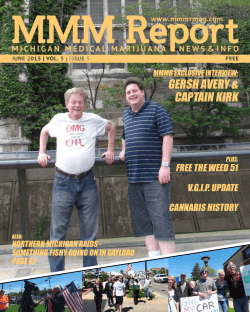Image - MMM Report