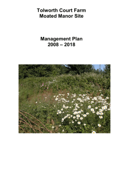 Draft Management Plan (circulated separately)
