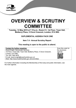 Item 7.4 - Annual Scrutiny Report PDF 260 KB