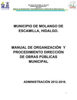 MUNICIPIO DE MOLANGO DE ESCAMILLA, HIDALGO
