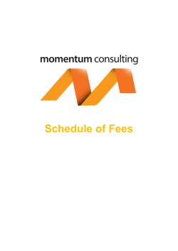 Fee Schedule - Momentum Consulting