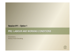 Session 11 Labour and Working Conditions (1).pptx