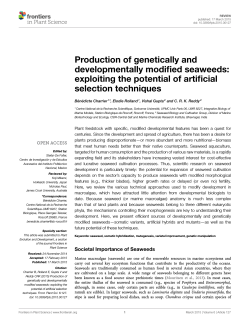 Production of genetically and developmentally modified seaweeds