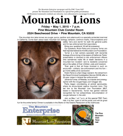 information... - Mountain Lion Foundation