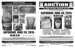 Auction Flyer - Mouths of the South