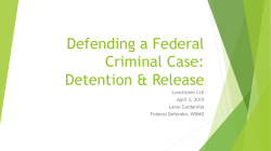 Defending a Federal Criminal Case: Detention & Release