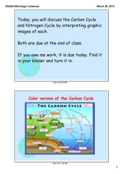 Today, you will discuss the Carbon Cycle and Nitrogen Cycle by