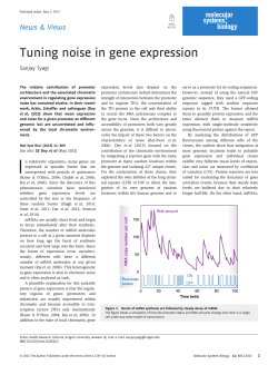 Tuning noise in gene expression