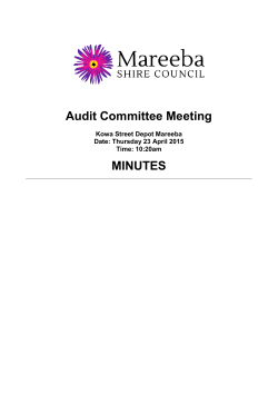 Audit Committee Meeting MINUTES