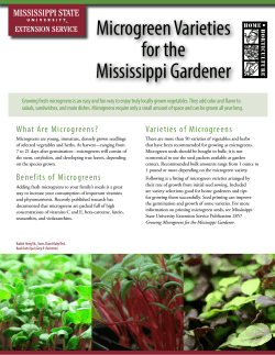 Microgreen Varieties for the Mississippi Gardener