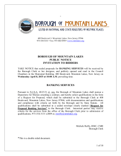 Mountain Lakes Banking RFP March 2015