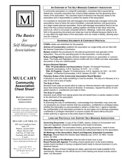 Self Managed Associations, Basics for