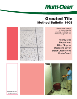 Maintain Grouted Tile - Multi