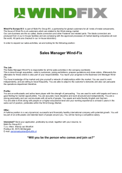 Sales Manager Wind-Fix