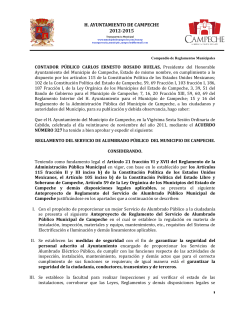 reglamento del servicio de alumbrado pÃºblico del municipio de