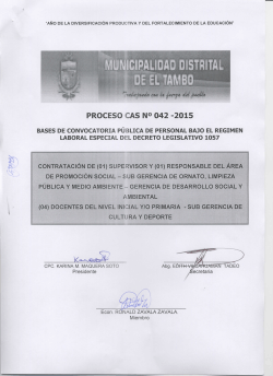 PROCESO CAS NO 042 -2015 - Municipalidad Distrital de El Tambo